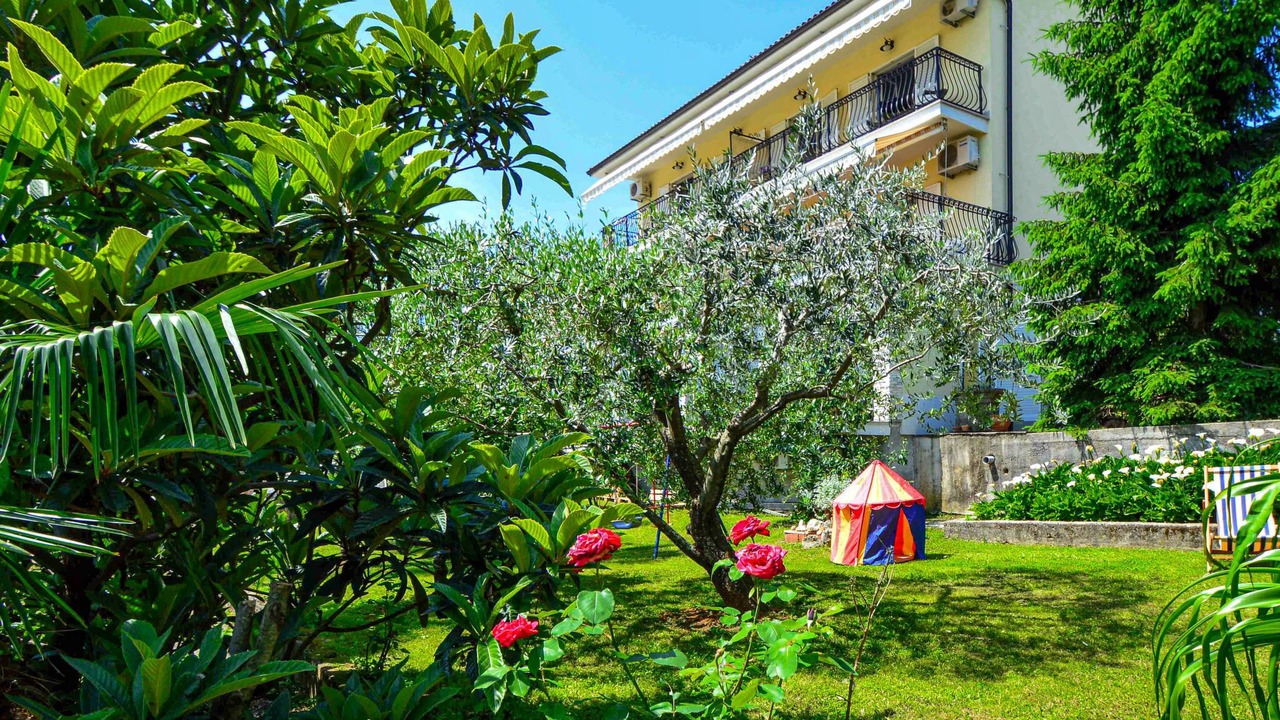 Photo of Outdoor in Ika