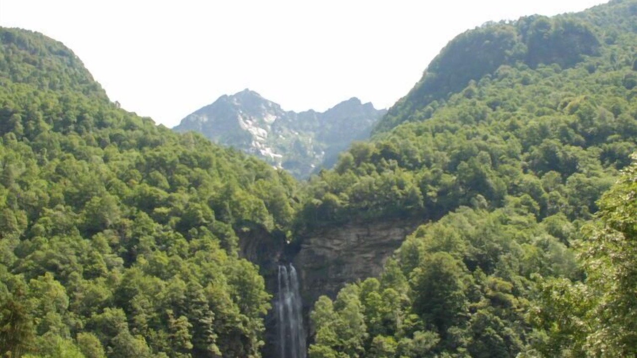 Photo of Others in Brione