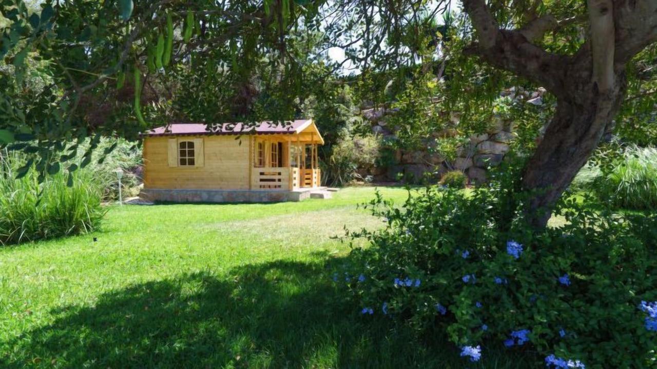 Photo of Outdoor in Pedramala