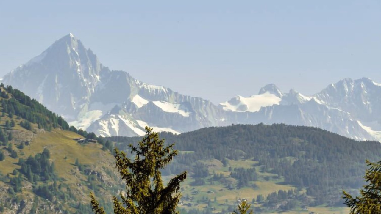 Photo of Others in Gasenried