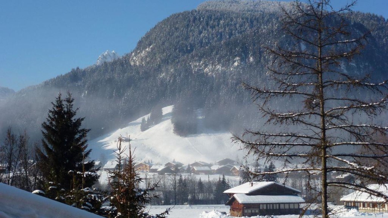 Photo of Others in Saanen