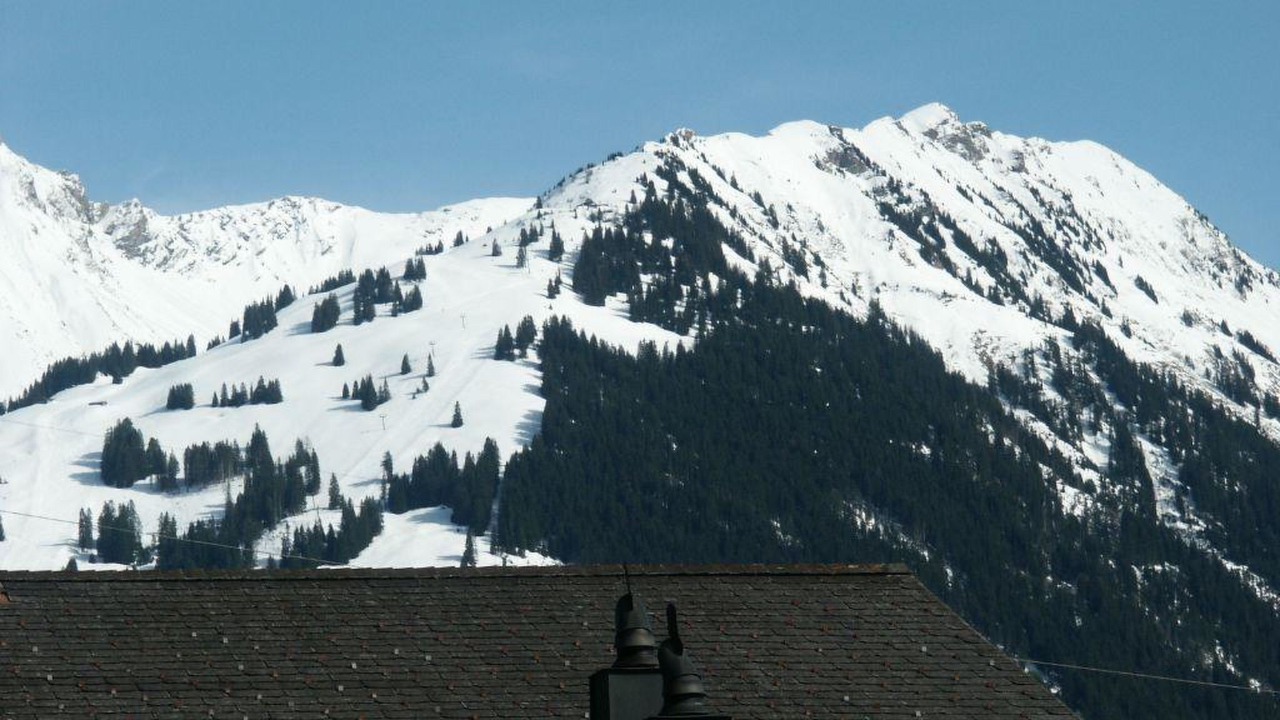 Photo of Others in Saanen