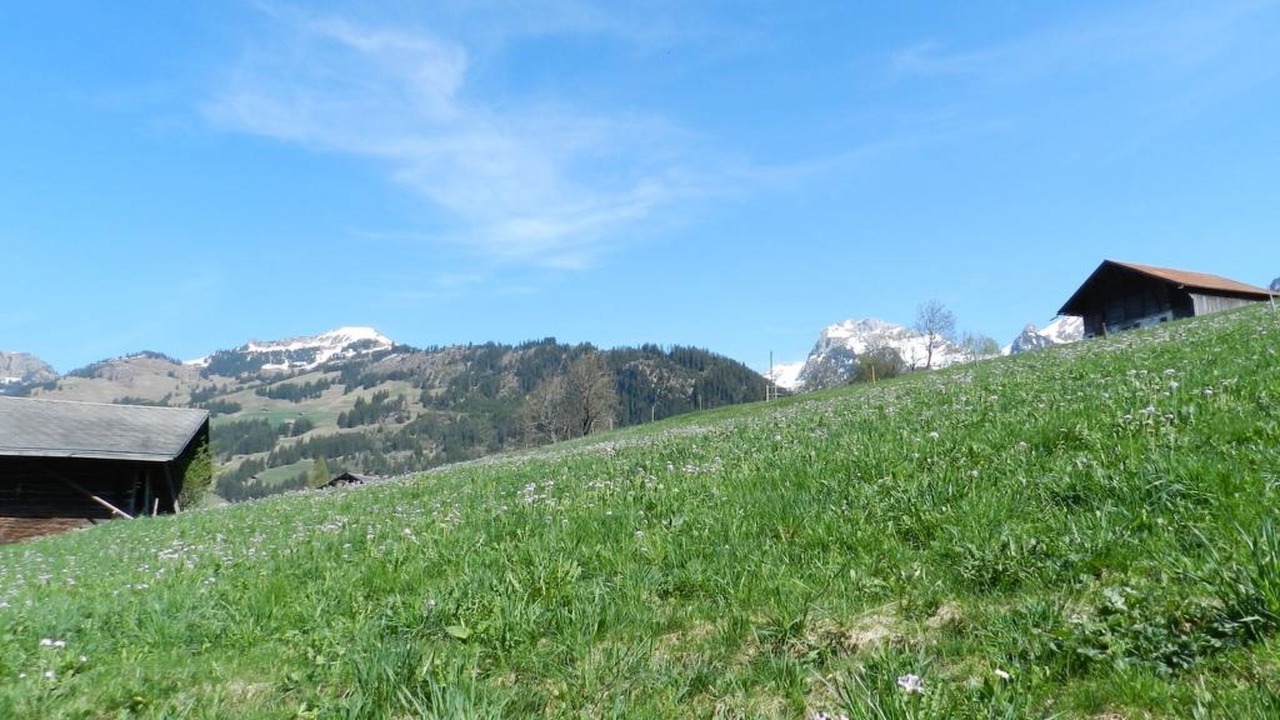 Photo of Others in Zweisimmen