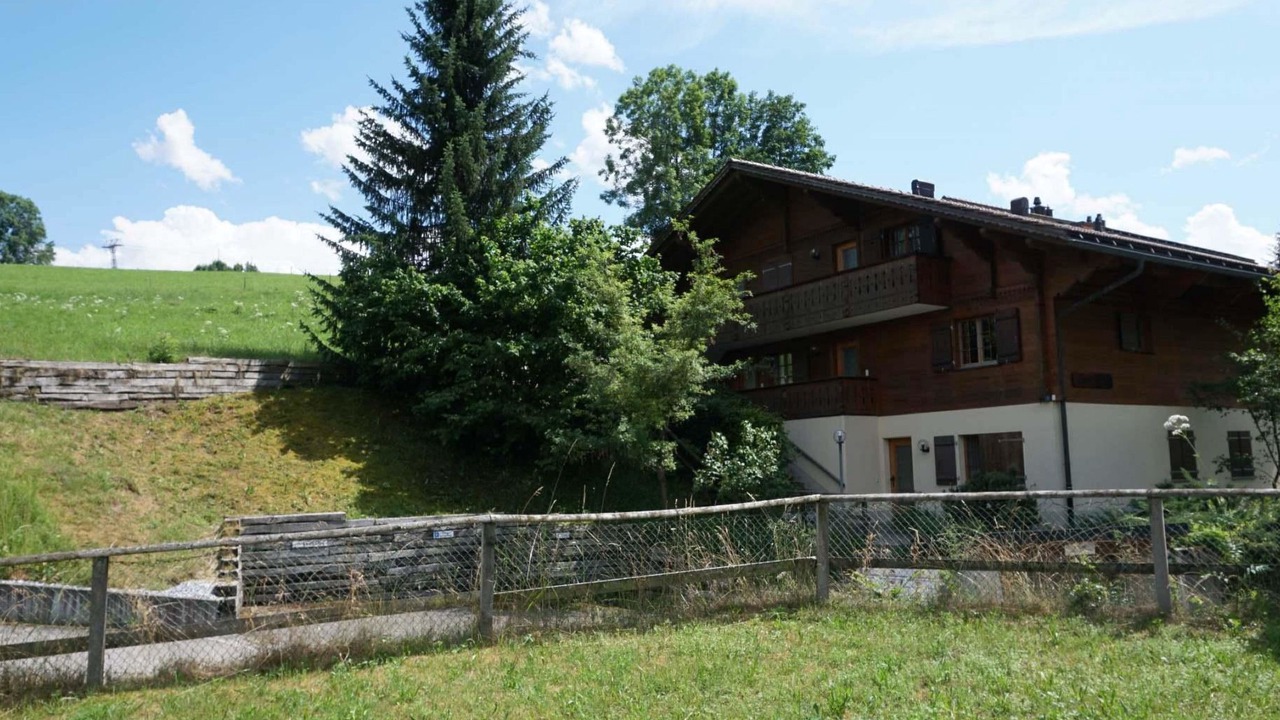 Photo of Others in Zweisimmen