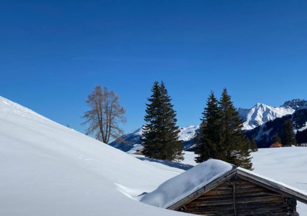 Photo of Others in Lenk