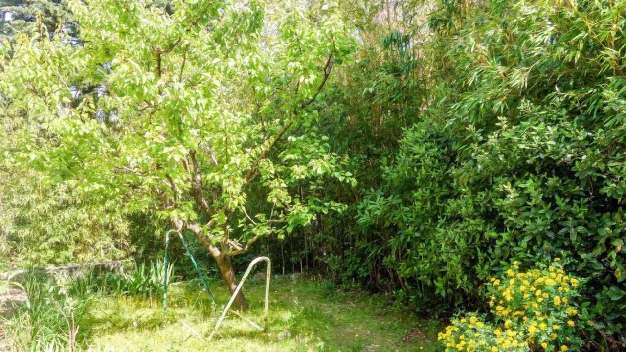 Photo of Others in Villeneuve-les-Avignon