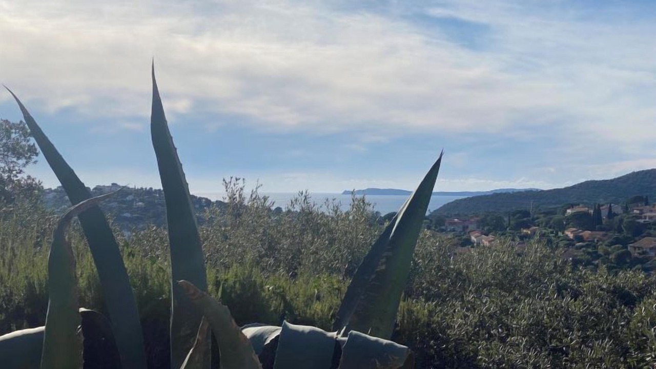 Photo of Others in Cavalaire-sur-Mer