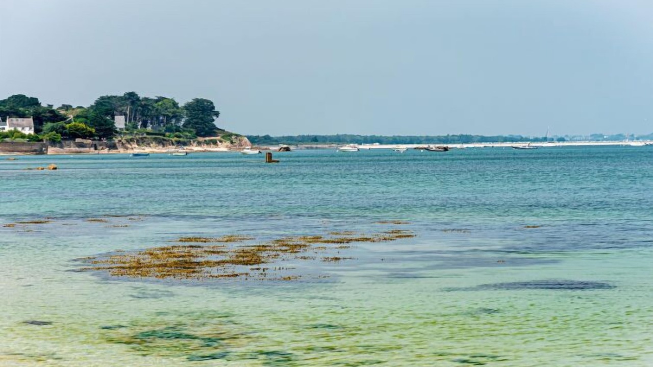 Photo of Others in Saint-Pierre-Quiberon