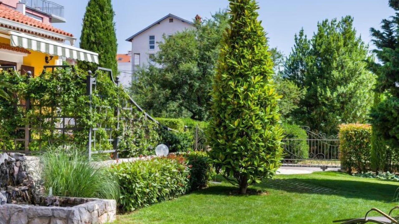 Photo of Outdoor in Zadar