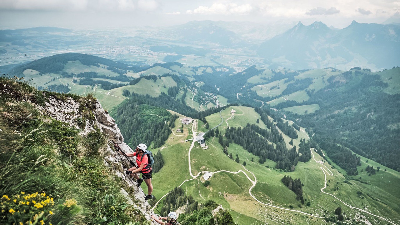 Photo of Others in Moleson