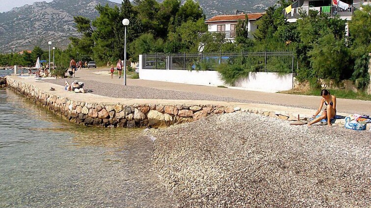 Photo of Outdoor in Rovanjska