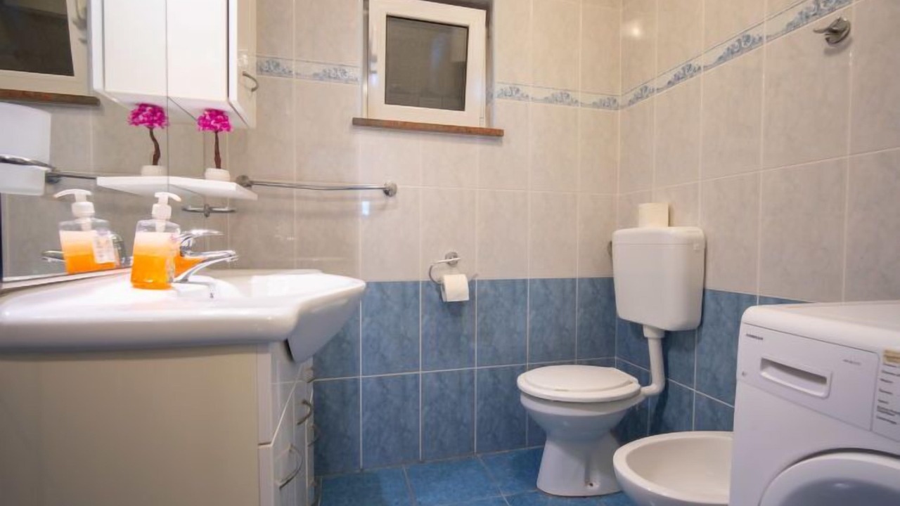 Photo of Bathroom in Cesarica