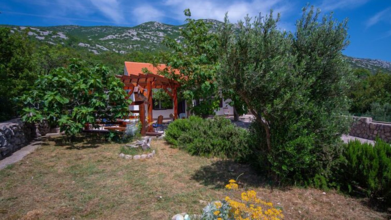 Photo of Outdoor in Cesarica