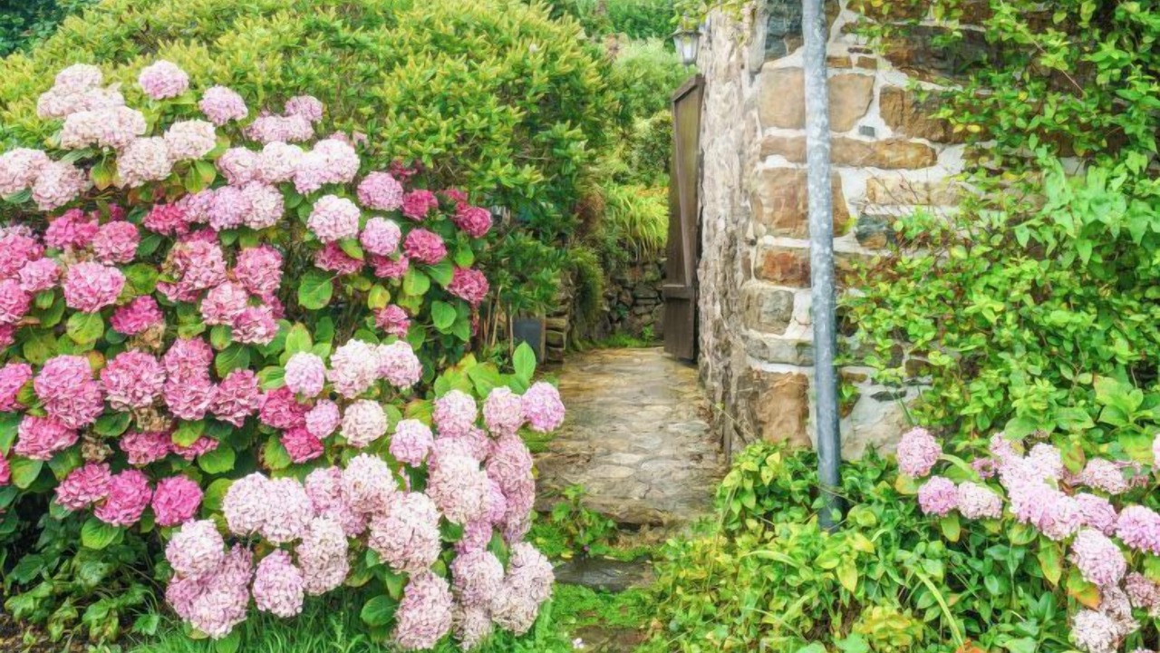 Photo of Others in Crozon