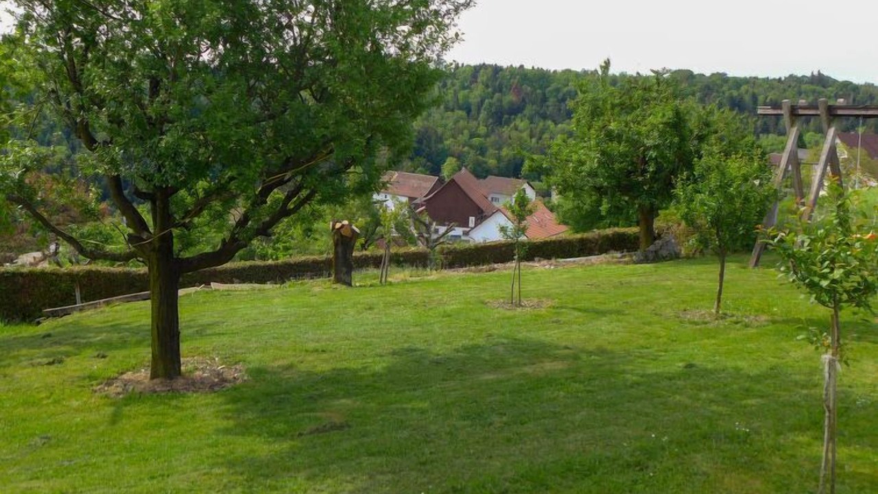 Photo of Others in Courchavon