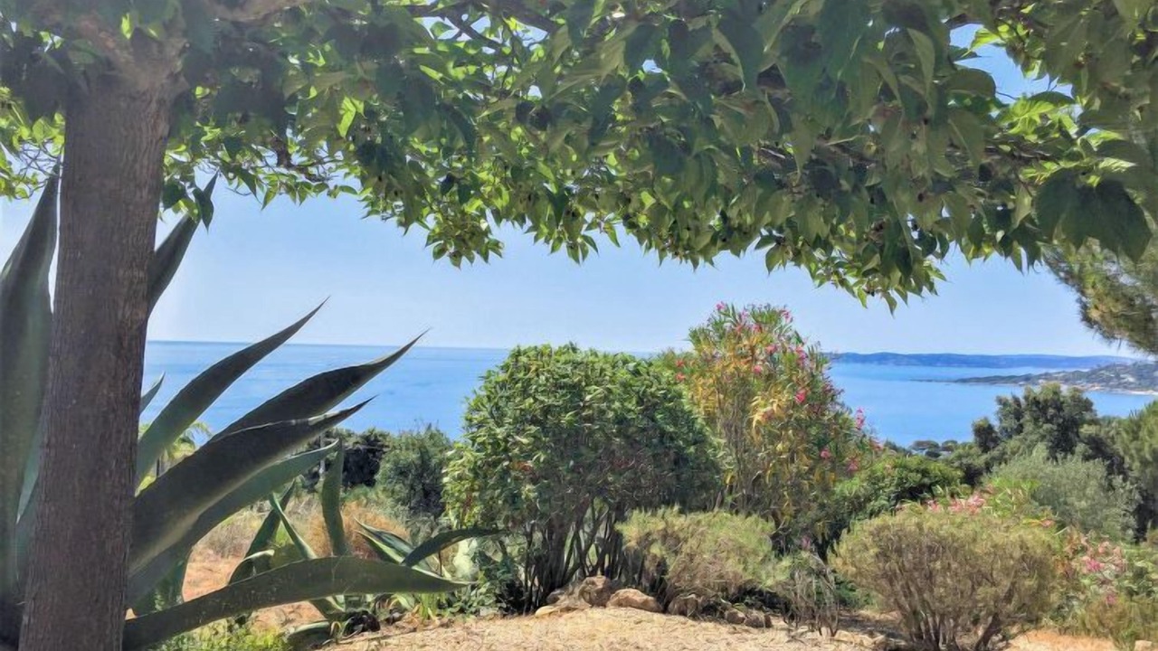 Photo of Others in Plage de la Garonnette