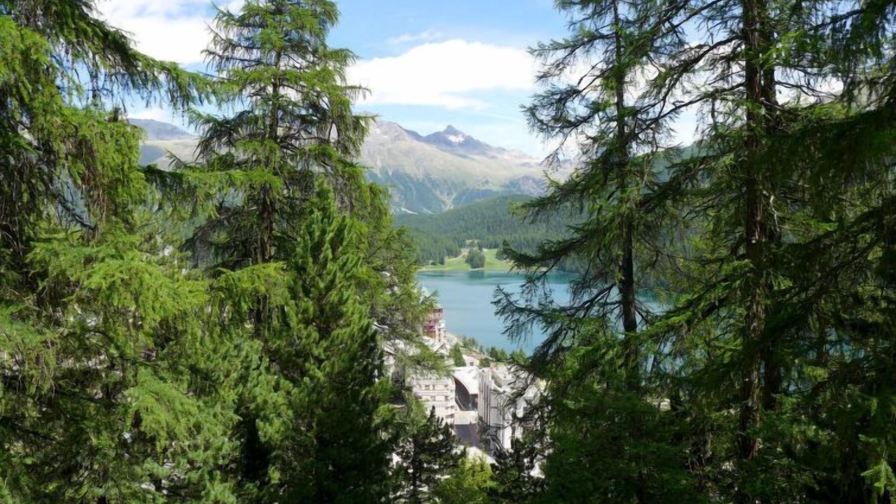 Photo of Others in St. Moritz