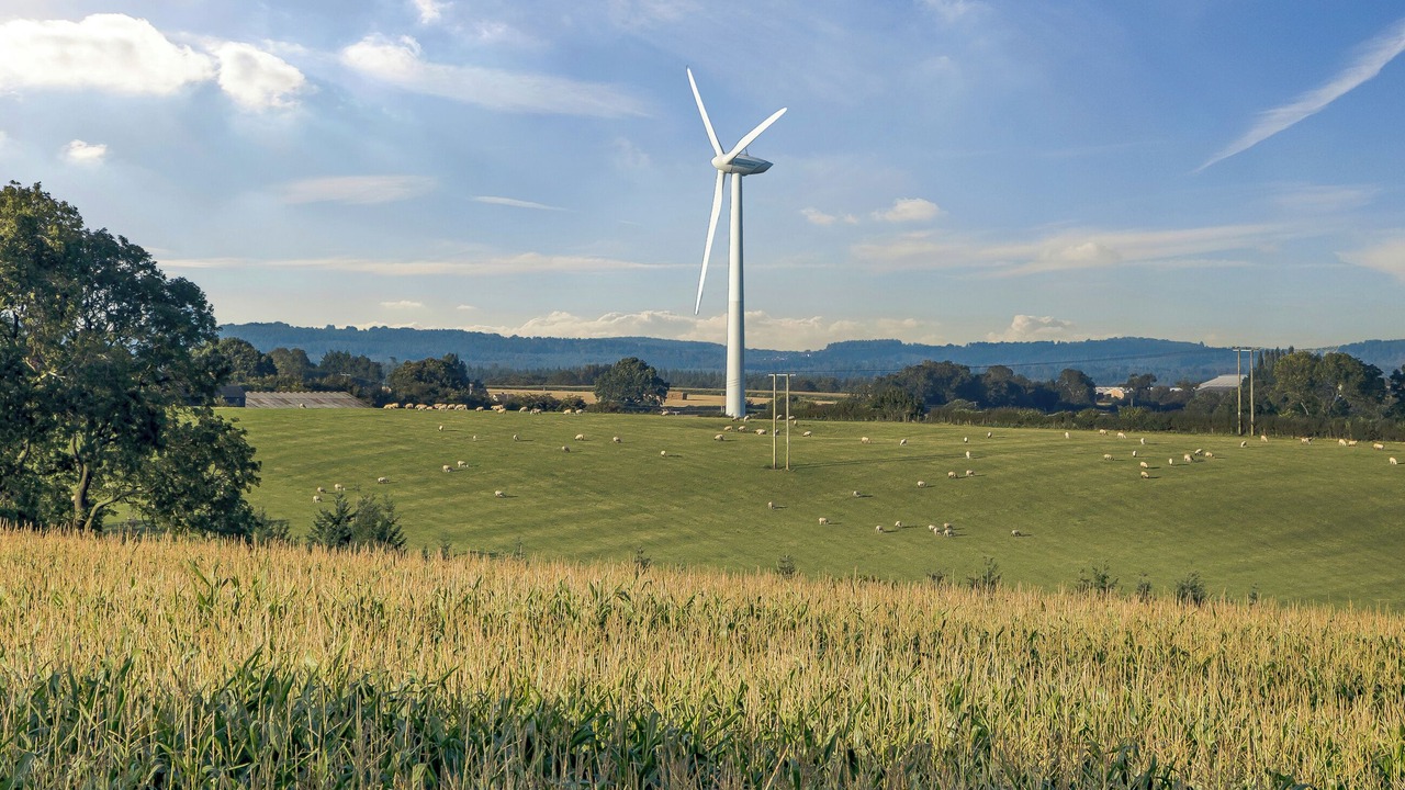 Photo of Others in Hewelsfield