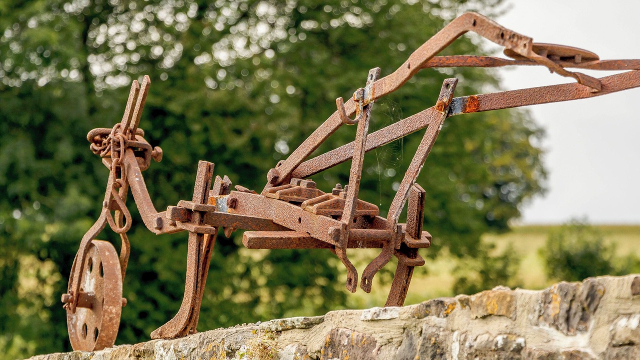 Photo of Outdoor in Hewelsfield