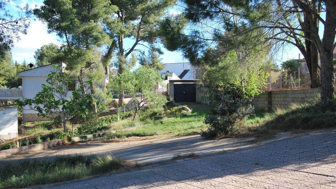 Photo of Others in Turis