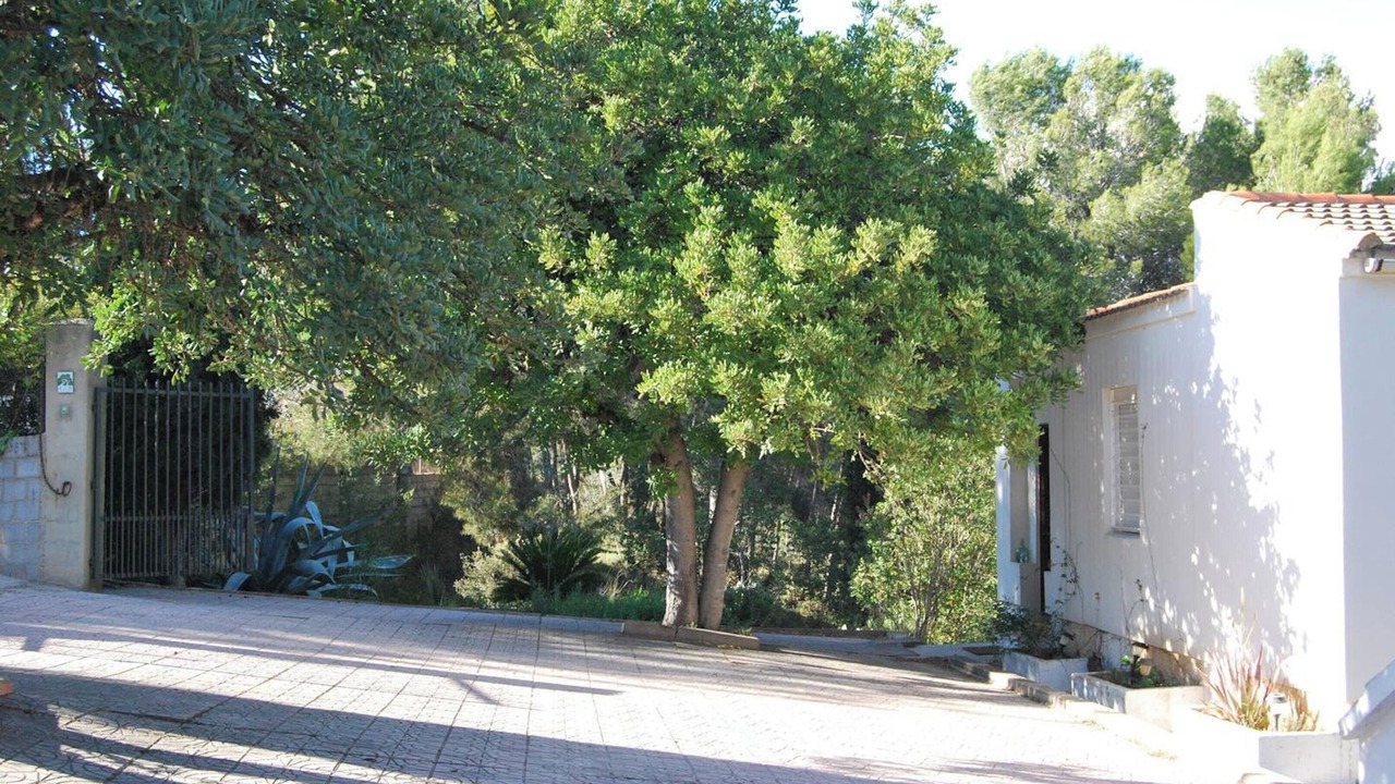 Photo of Others in Turis