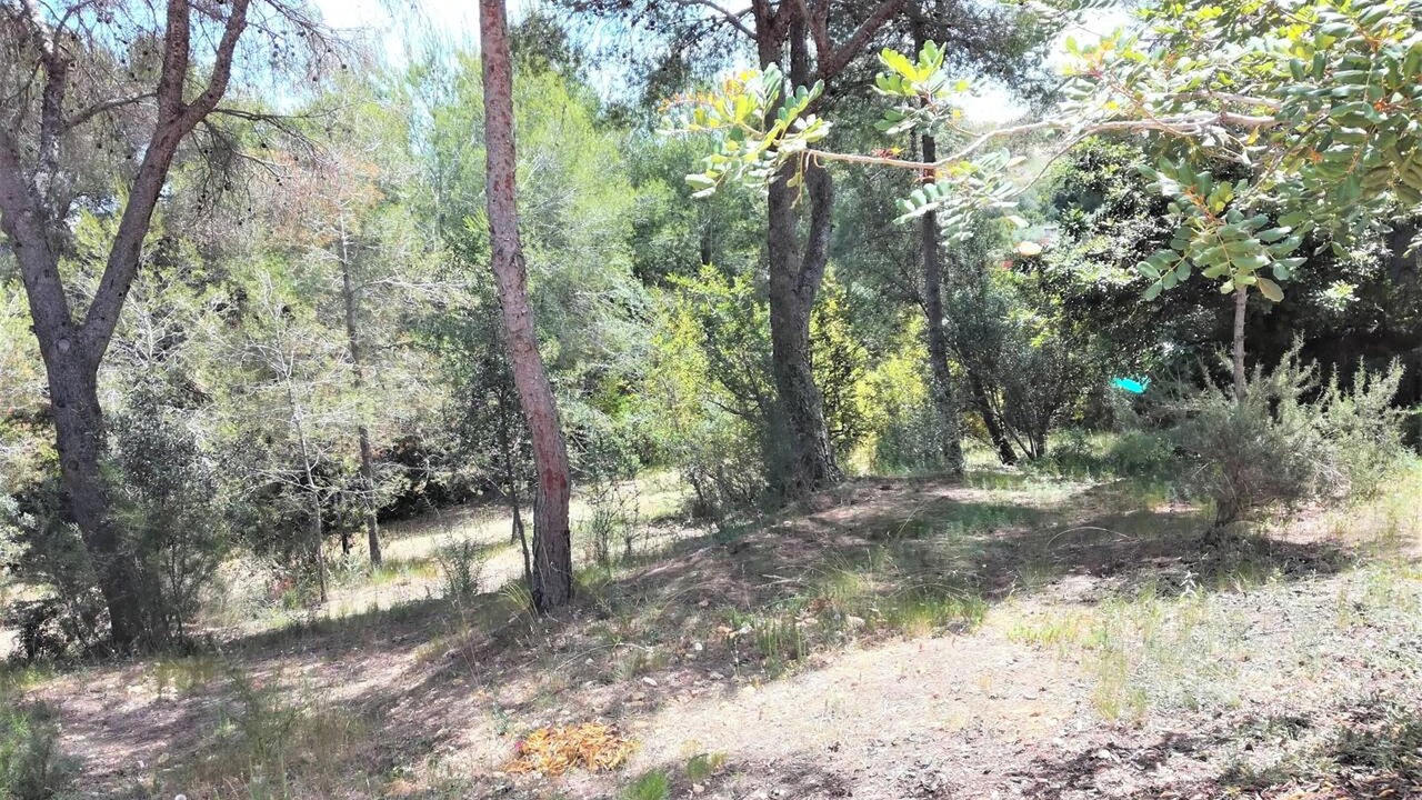 Photo of Outdoor in Turis