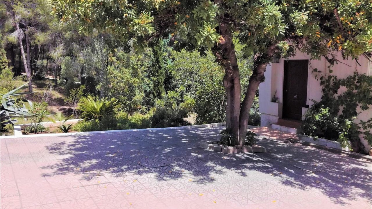Photo of Outdoor in Turis