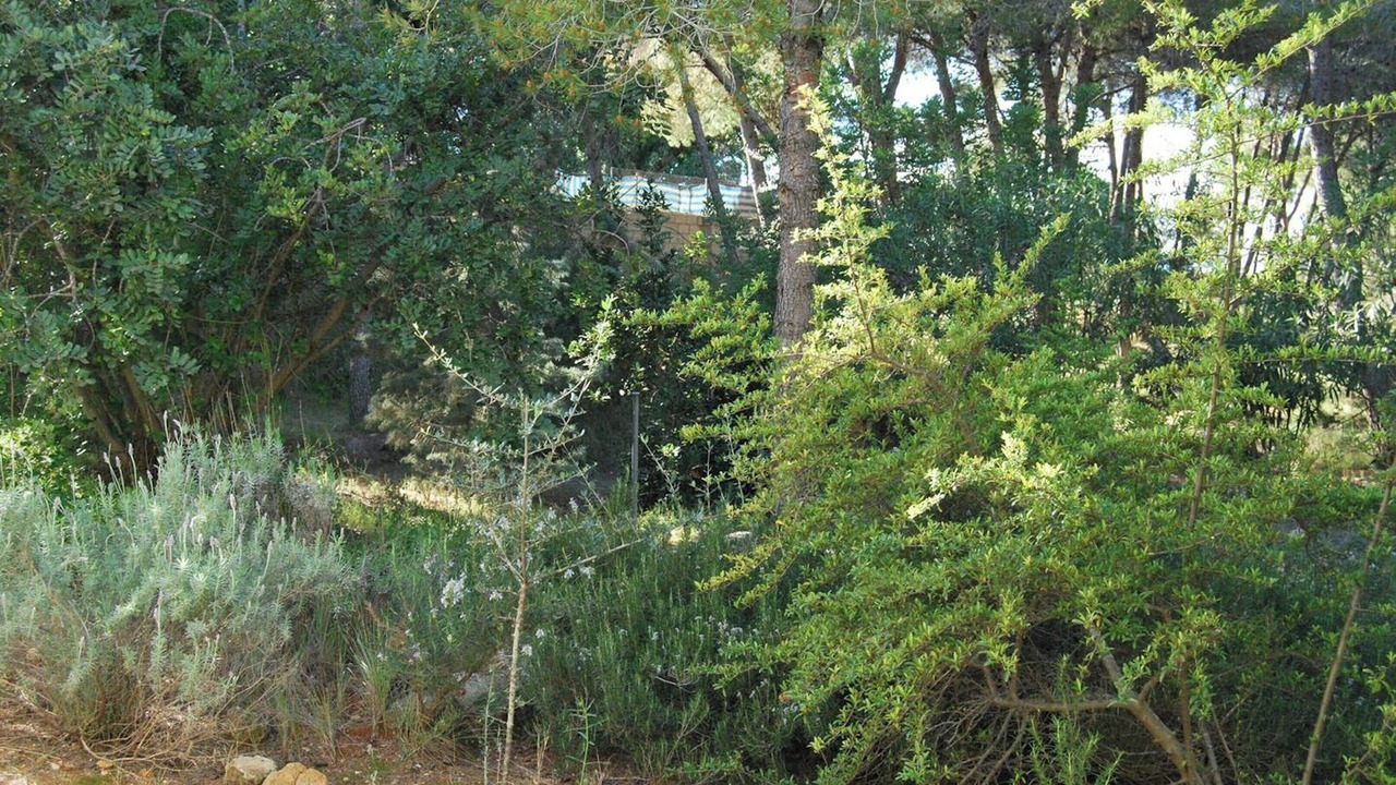 Photo of Outdoor in Turis