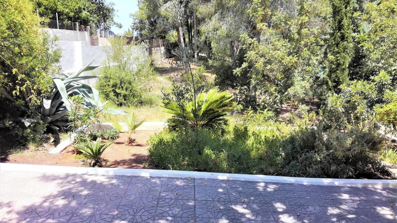 Photo of Outdoor in Turis