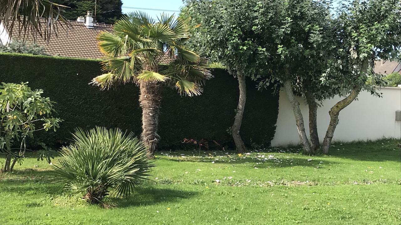 Photo of Outdoor in Barneville-Carteret