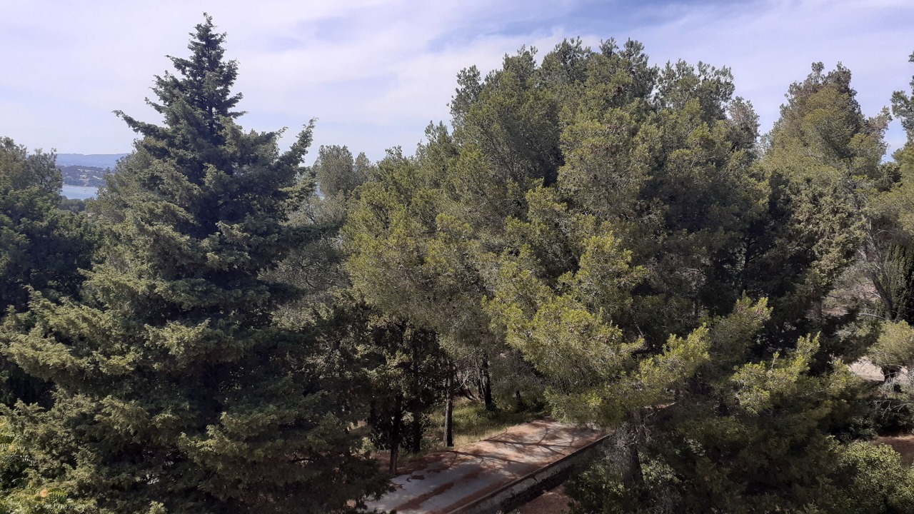 Photo of Others in Saint-Mandrier-sur-Mer