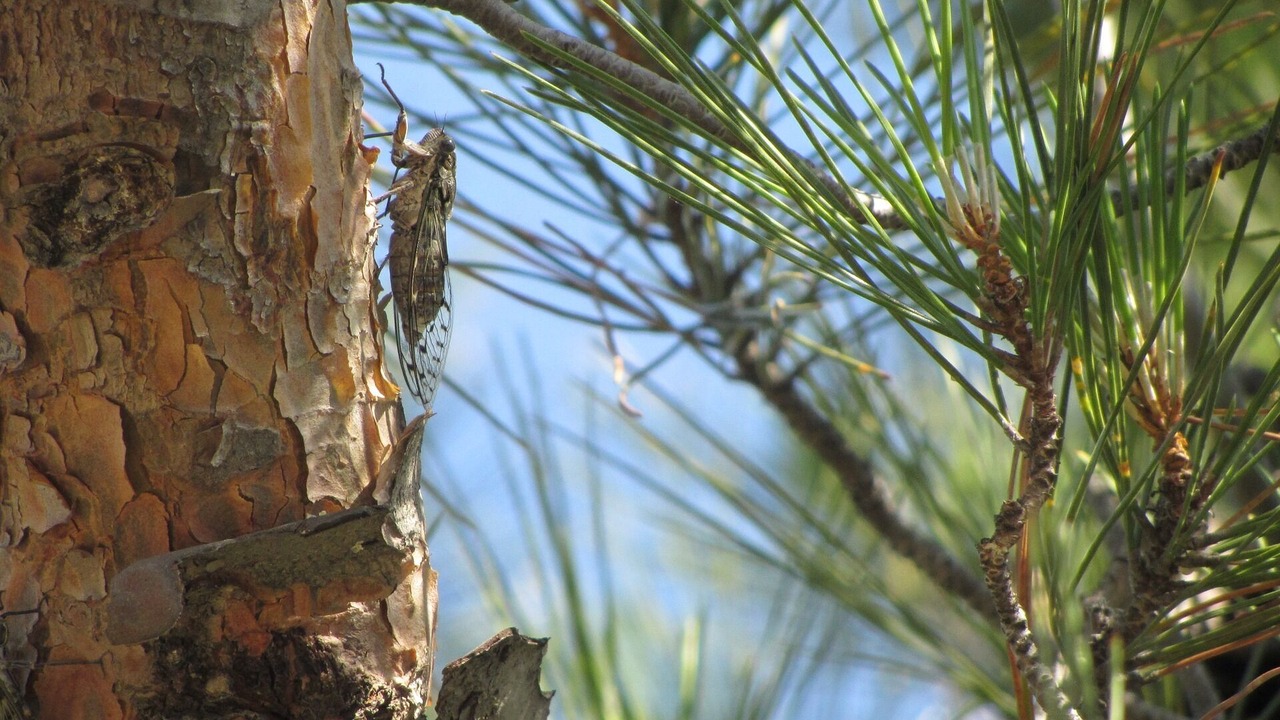 Photo of Outdoor in Saint-Mandrier-sur-Mer