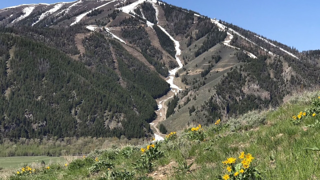 Photo of Outdoor in Elkhorn Village