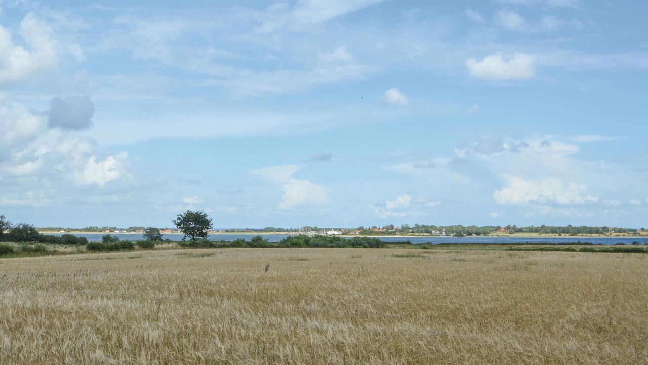 Photo of Others in Aarosund