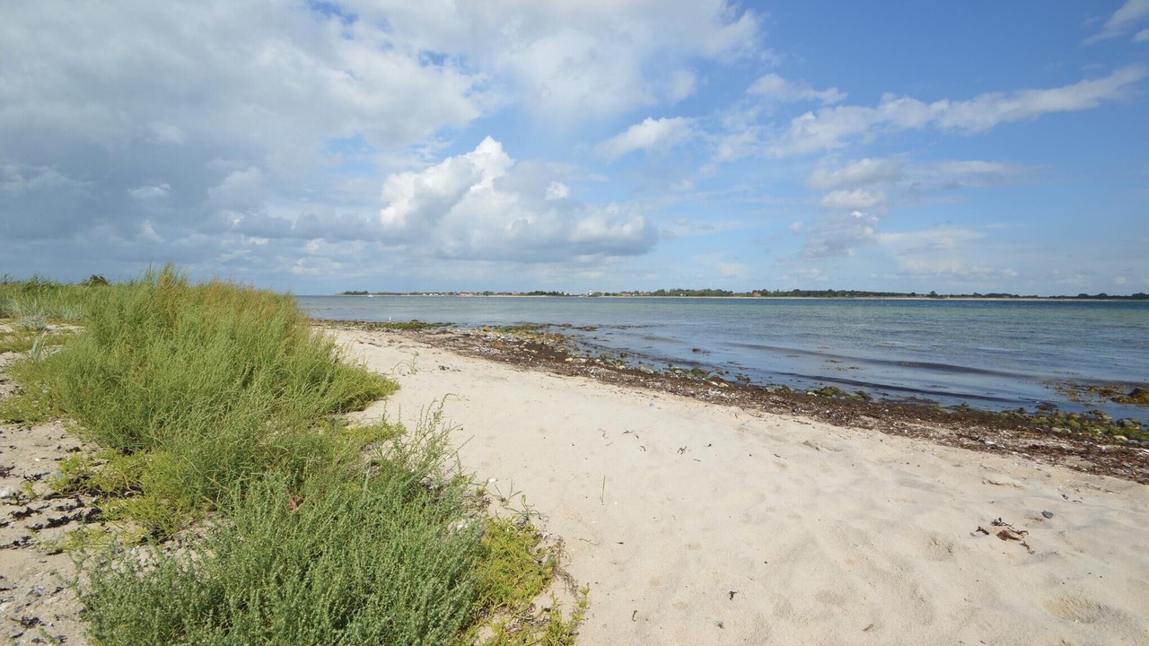 Photo of Others in Aarosund