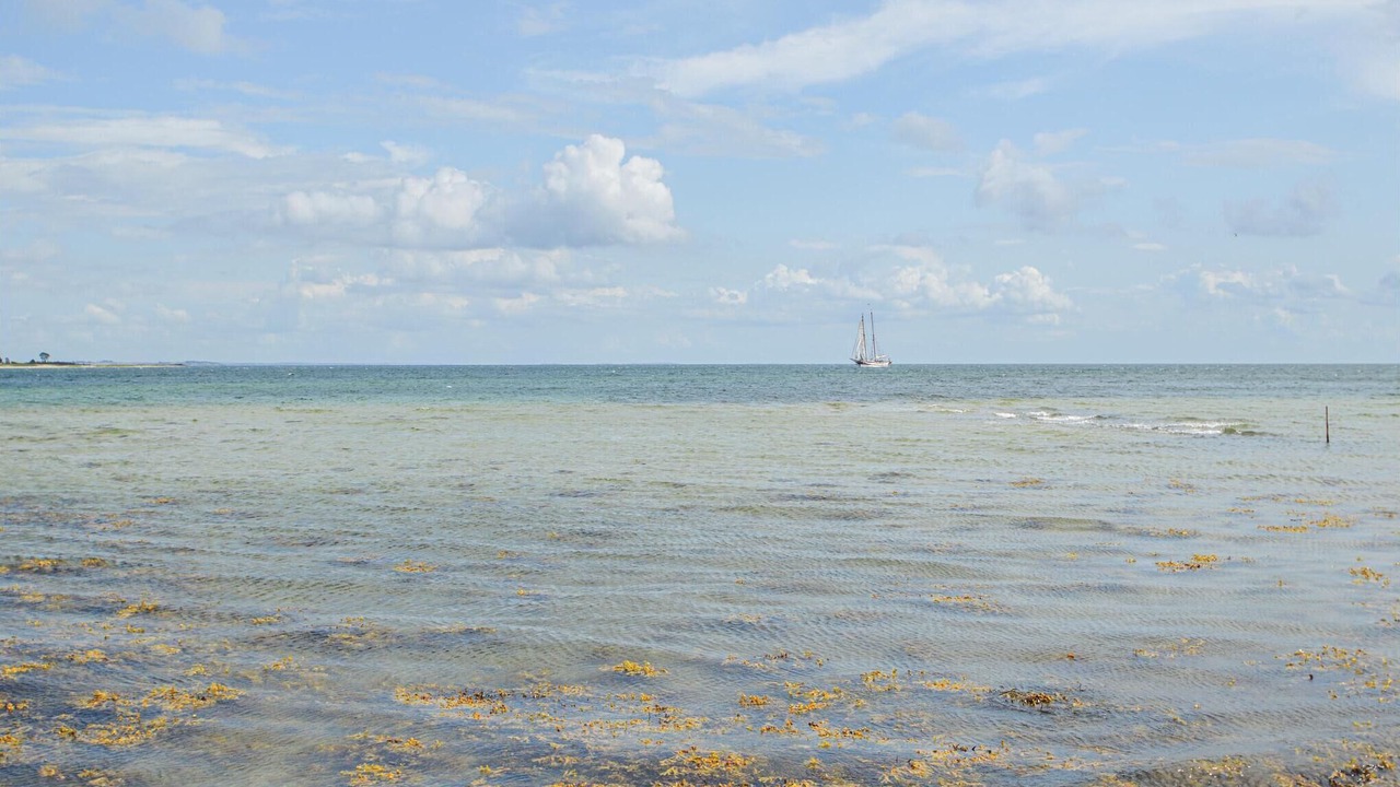 Photo of Others in Aarosund