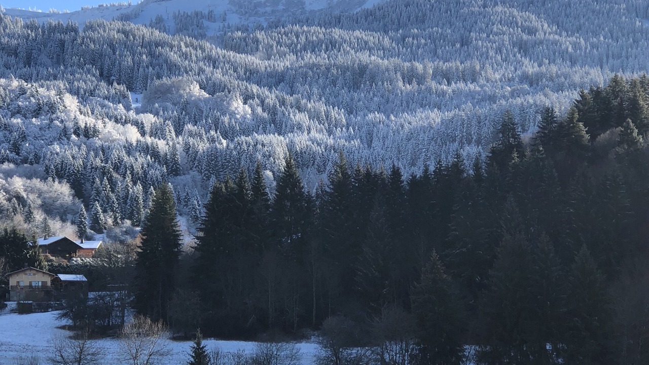Photo of Outdoor in Araches-la-Frasse