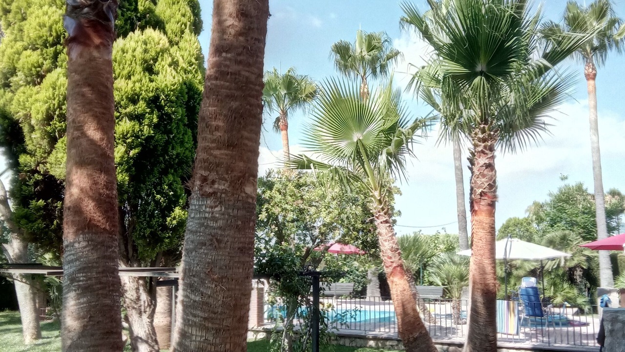Photo of Outdoor in Castello de la Plana