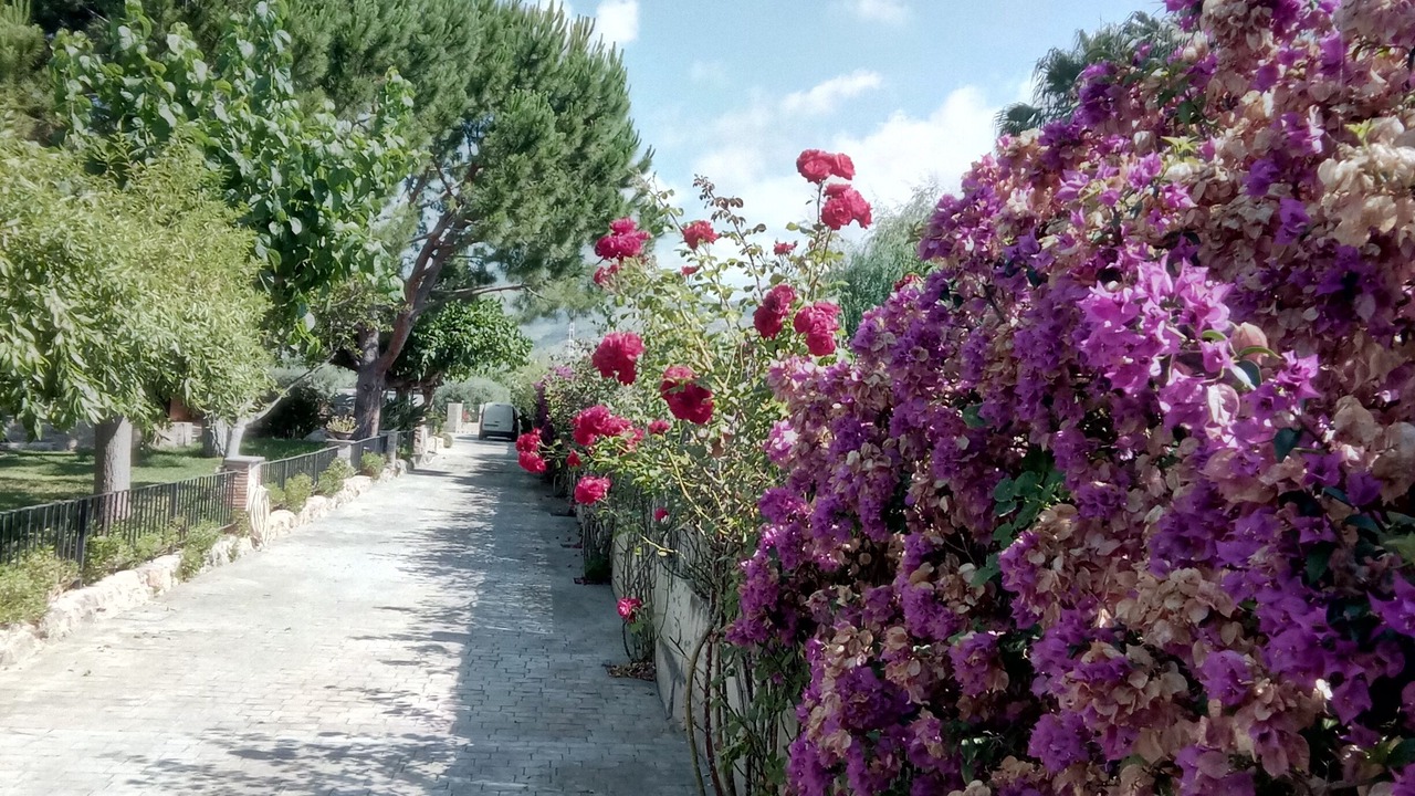 Photo of Outdoor in Castello de la Plana