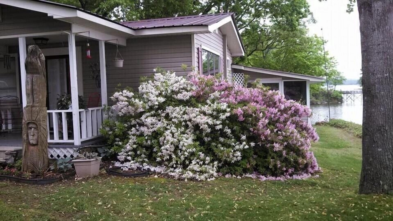 Photo of Outdoor in Centre