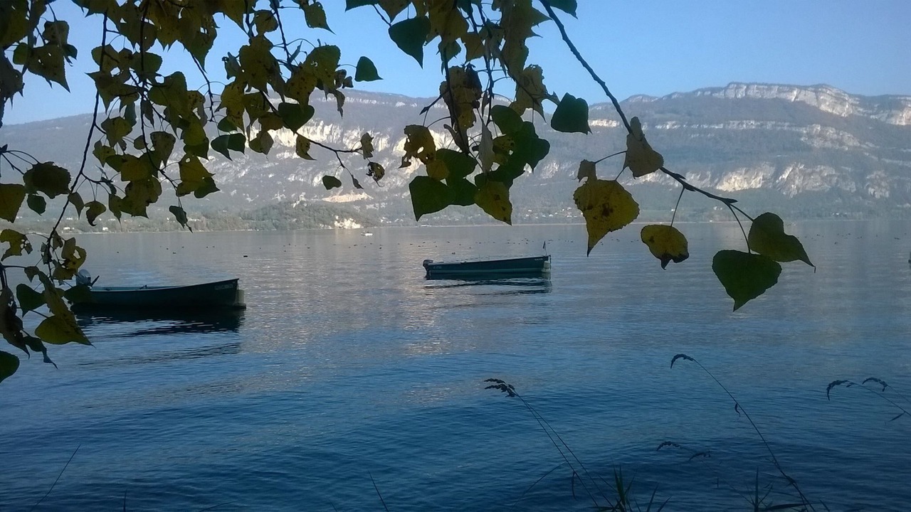 Photo of Others in Conjux