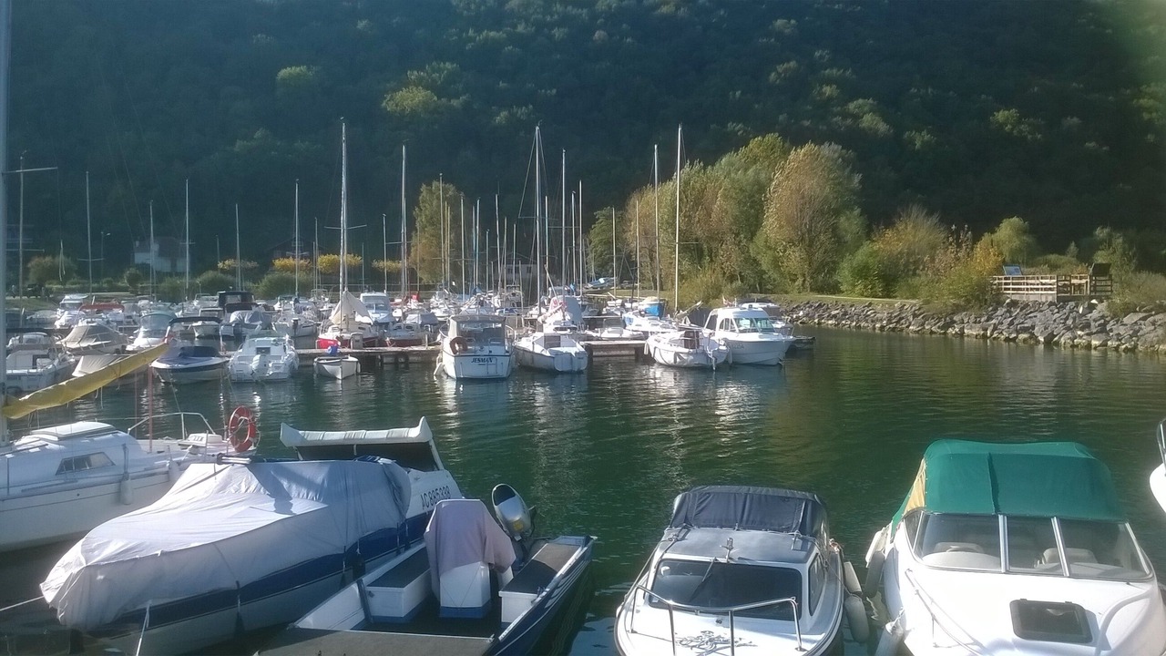 Photo of Others in Conjux