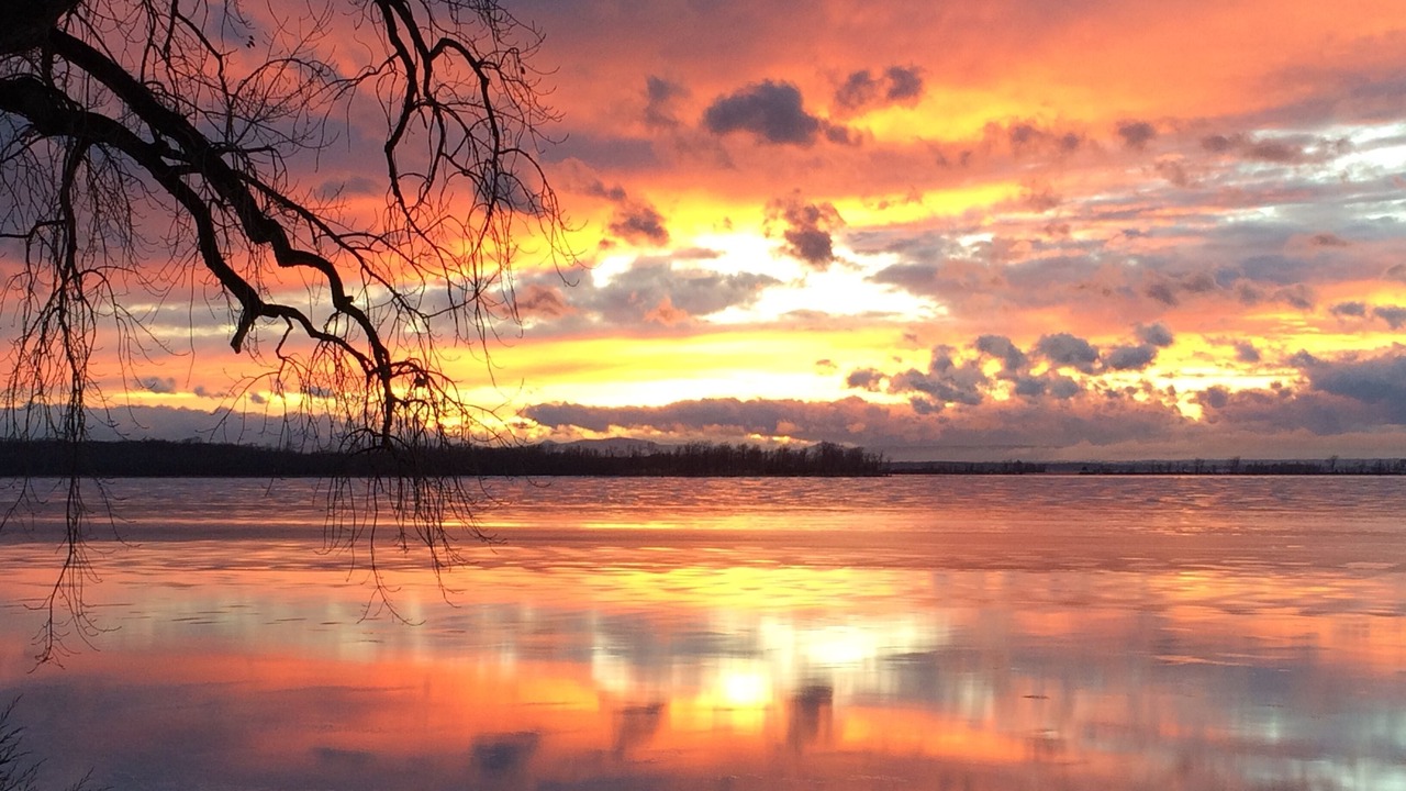 Photo of Others in Grand Isle