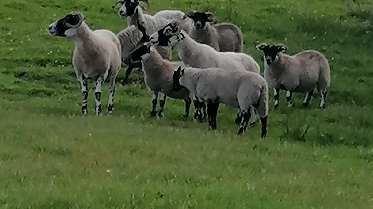 Photo of Outdoor in Salen