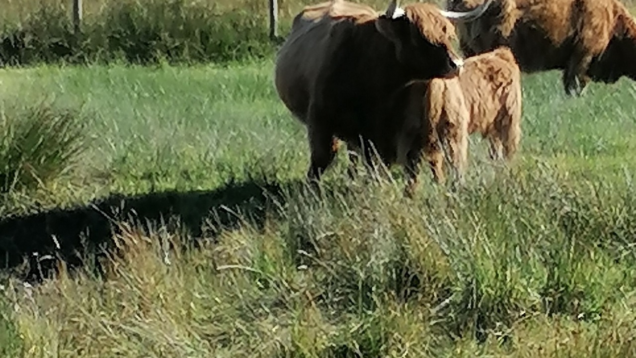 Photo of Outdoor in Salen