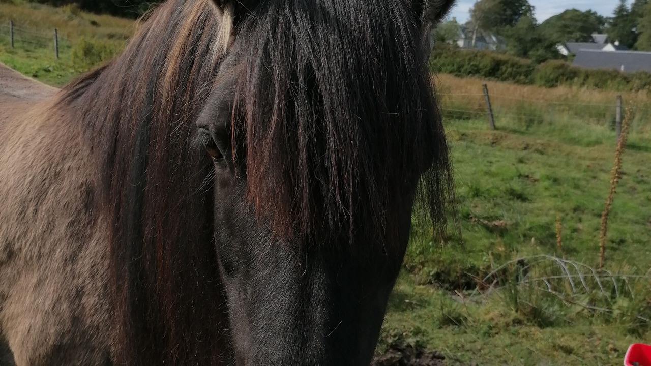 Photo of Outdoor in Salen