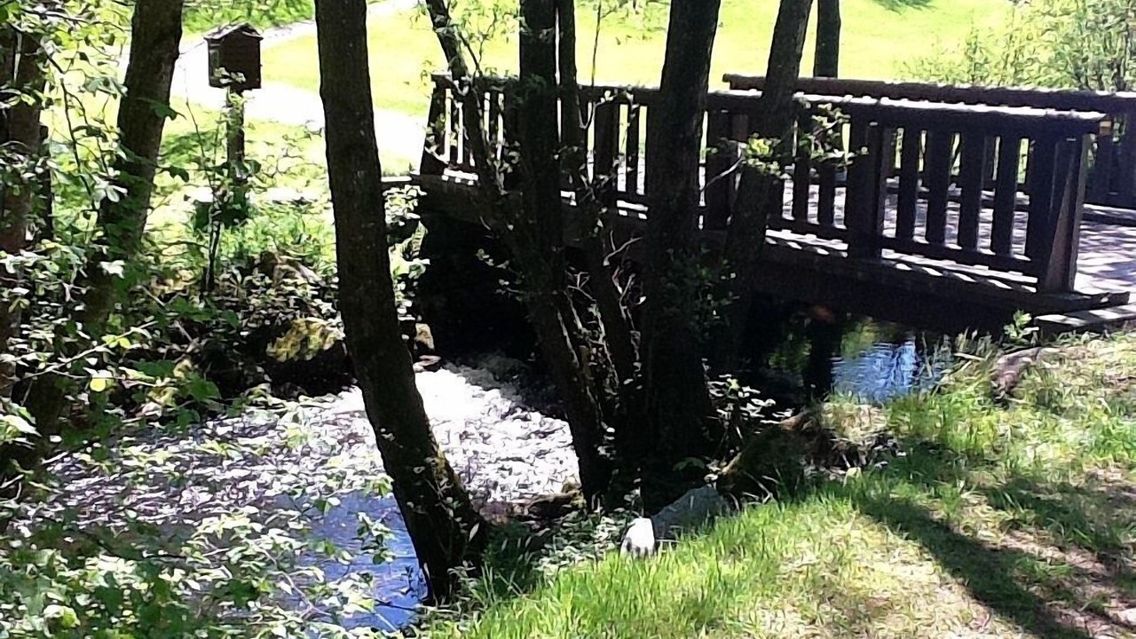 Photo of Others in Saint-Germain-de-Tallevende-la-Lande-Vaumont