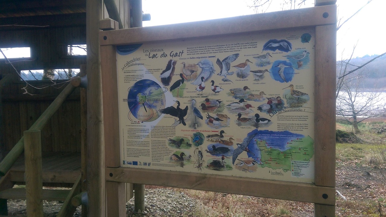 Photo of Others in Saint-Germain-de-Tallevende-la-Lande-Vaumont