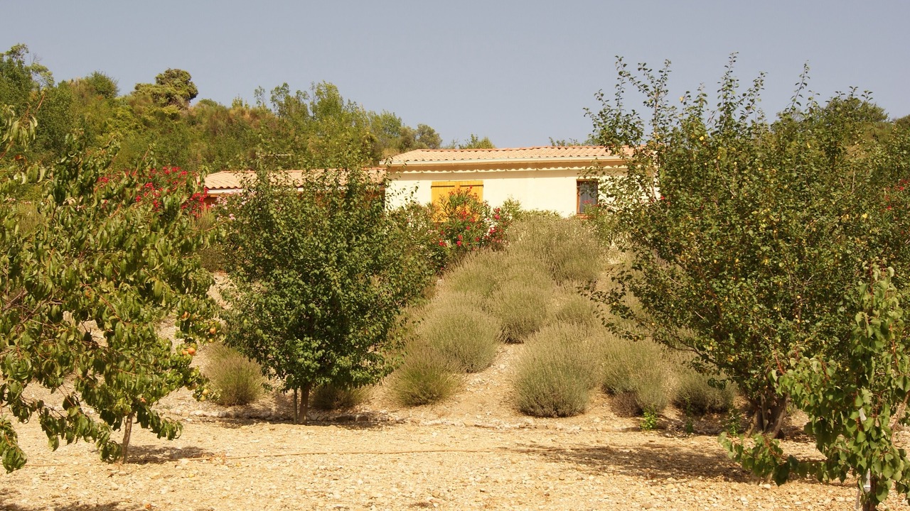 Photo of Others in Lodeve