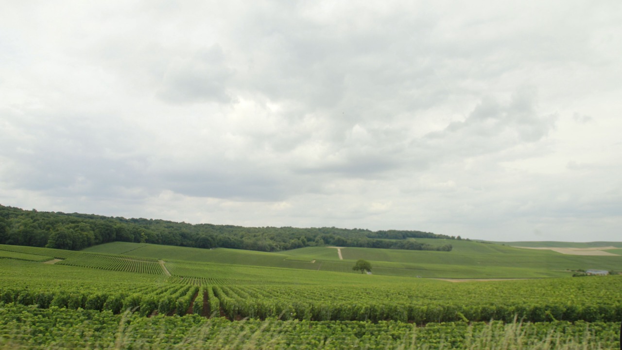 Photo of Others in Barbonne-Fayel